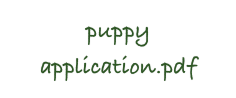 puppy application.pdf